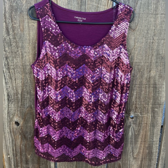 Coldwater Creek stunning purple chevron sequin sleeveless blouse - Picture 1 of 3